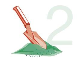 שלב 2 - טרום שתילה
