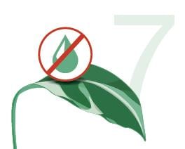 שלב 7 - ניהול עקה