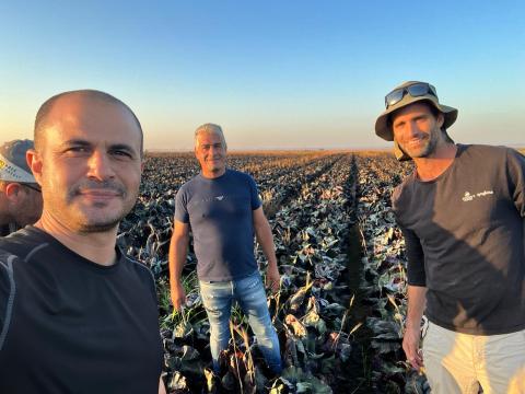 Zeraim Gedera Syngenta 