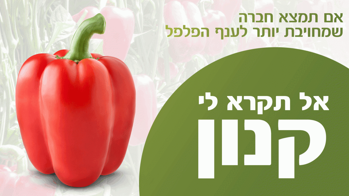 קנון גיף