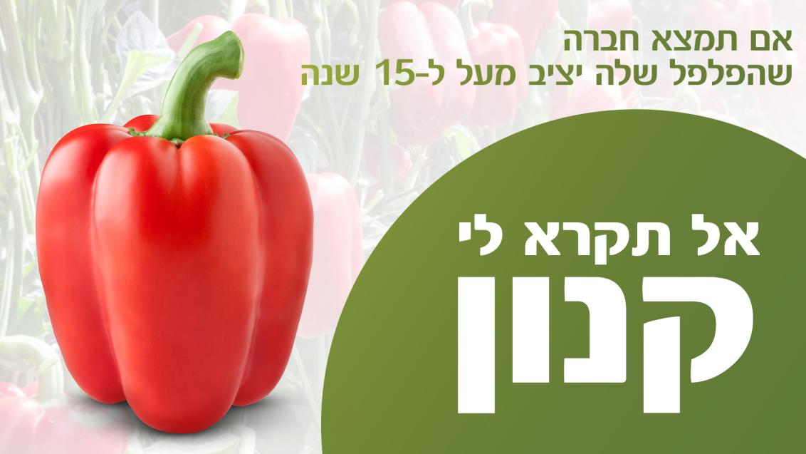 אל תקרא לי קנון
