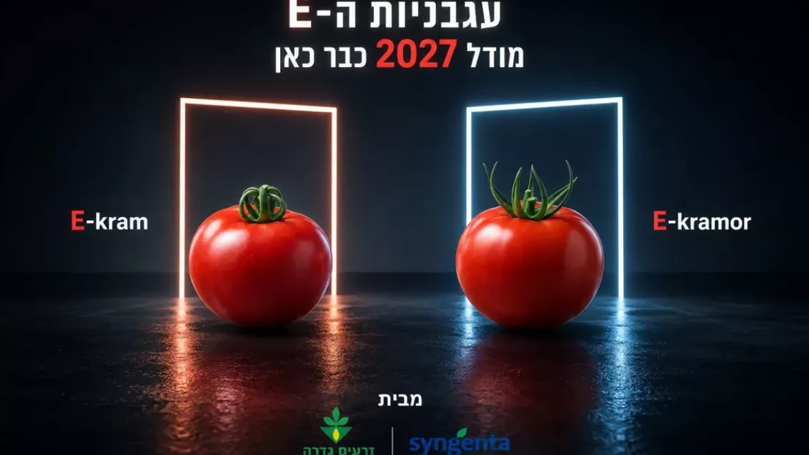 עגבניות E-tron ו‑E-tranor עם כיתוב "עגבניית E‑1", מודל 2027 בלי חשמל