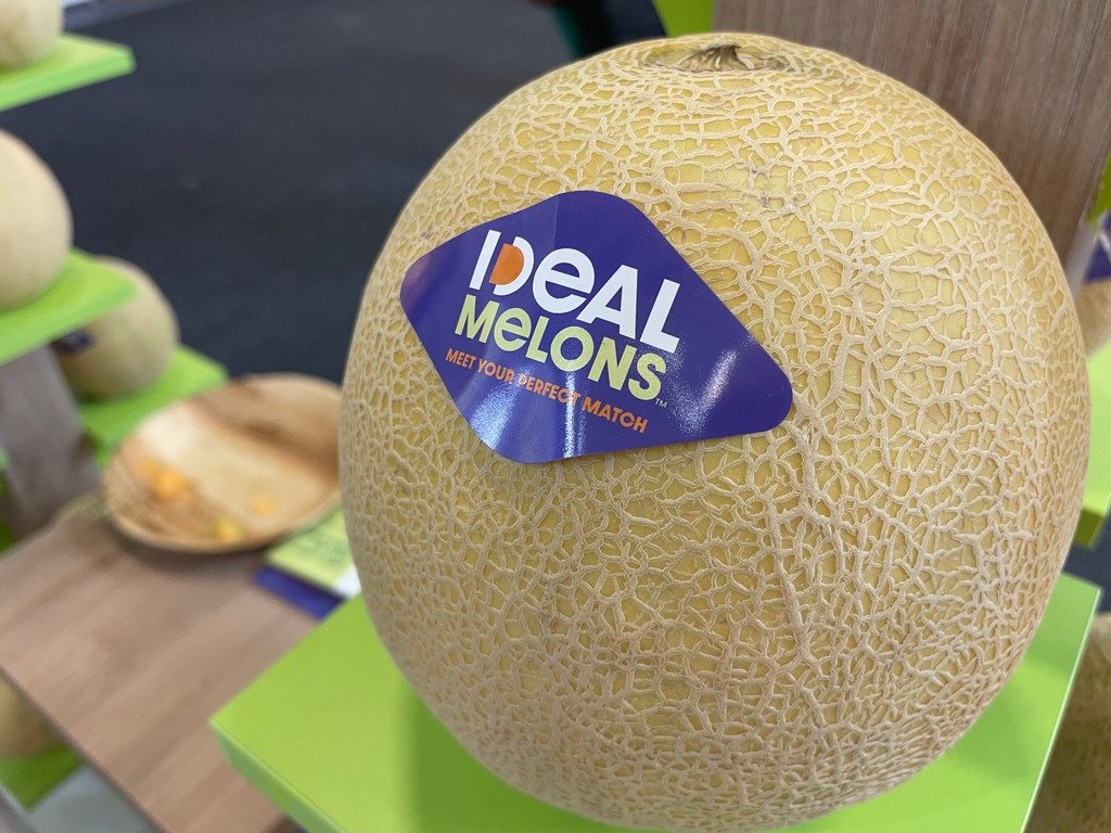 IDEAL Melon™