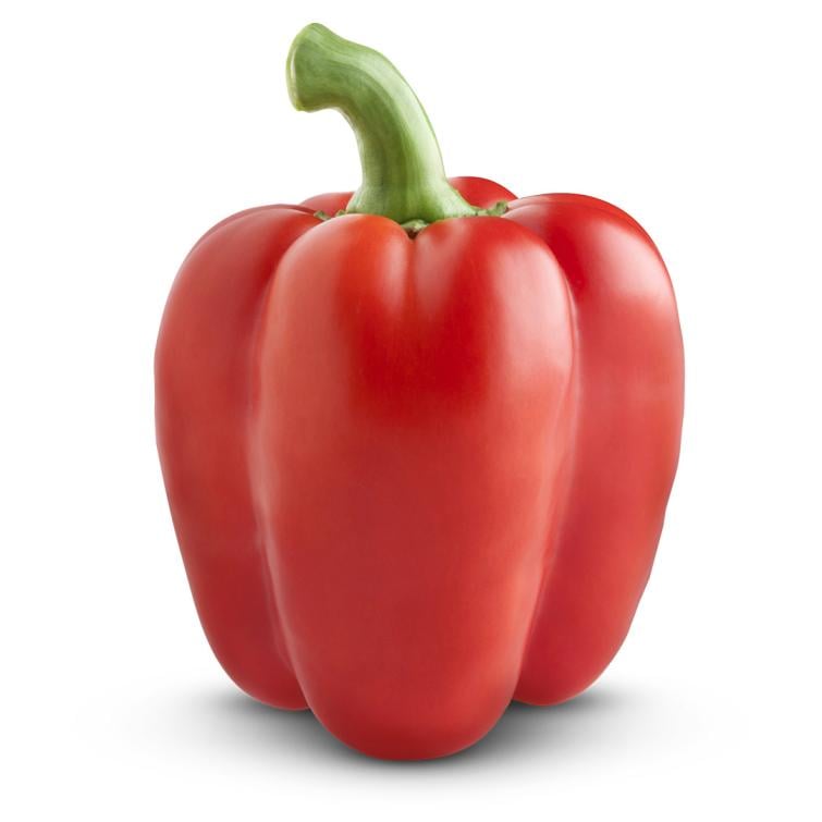 קנון