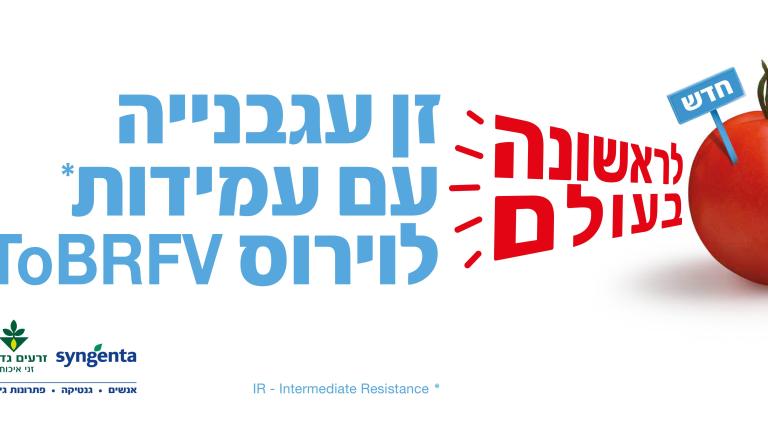 לנסור-חדש