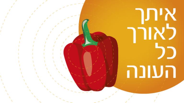 מדריך פלפל דיגיטלי