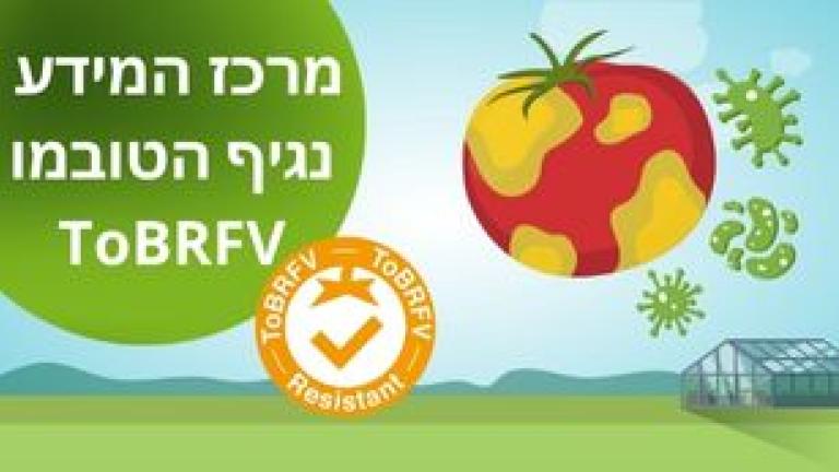 למרכז המידע על נגיף הטובמו