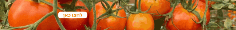 ToBRFV Home page banner 1132x400