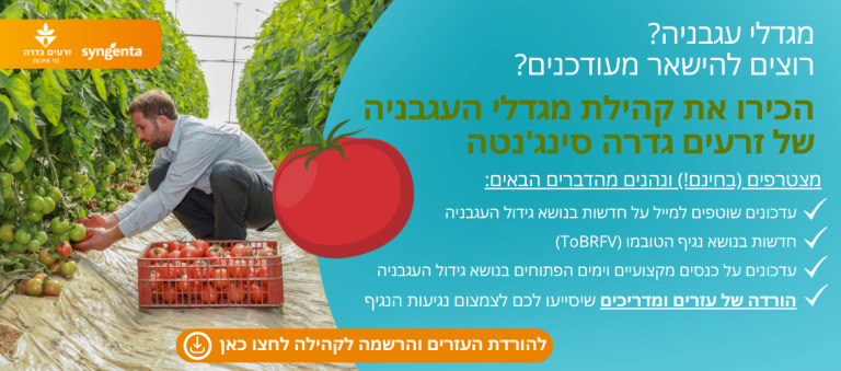 קהילת מגדלי עגבניה
