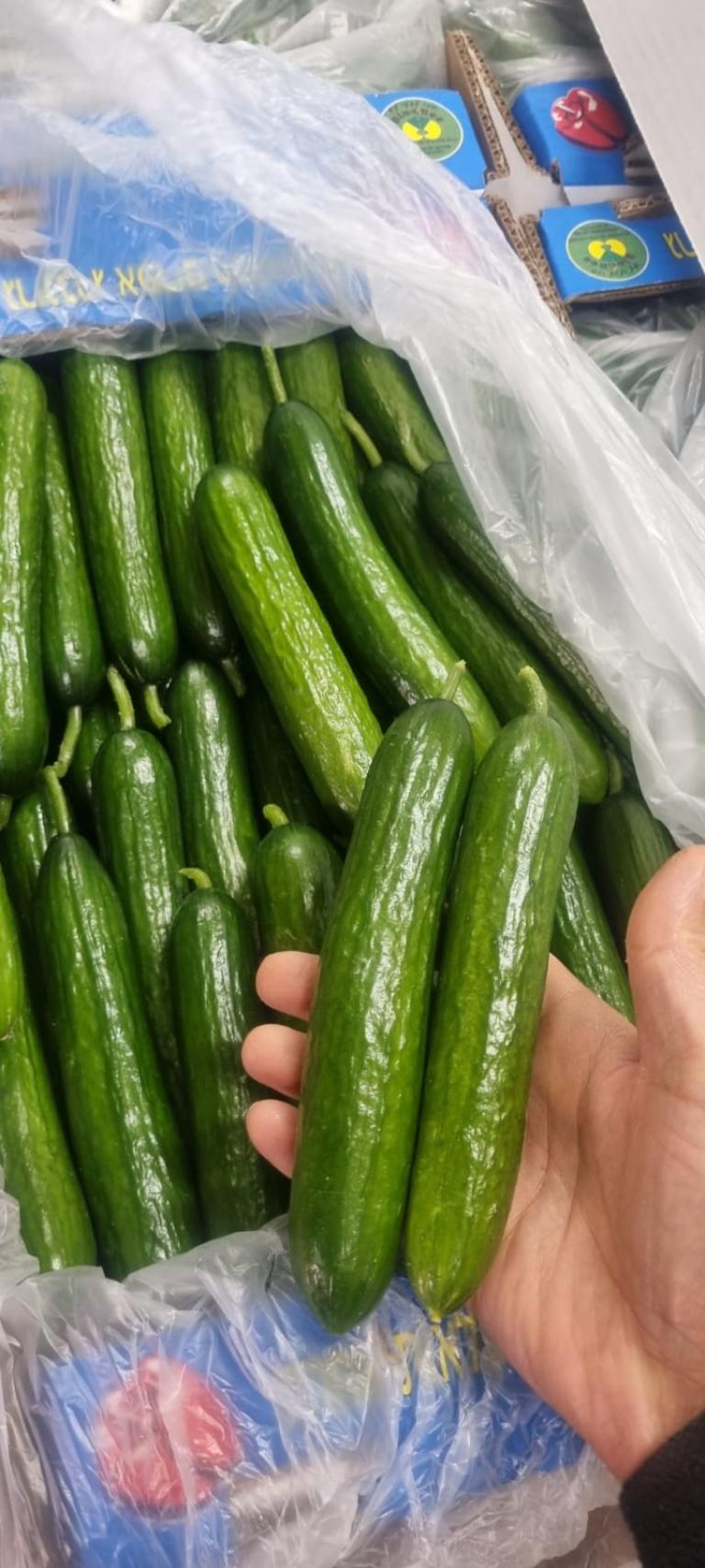 יד מחזיקה מלפפון מעל ערימת מלפפונים בשקית פלסטיק בסופר