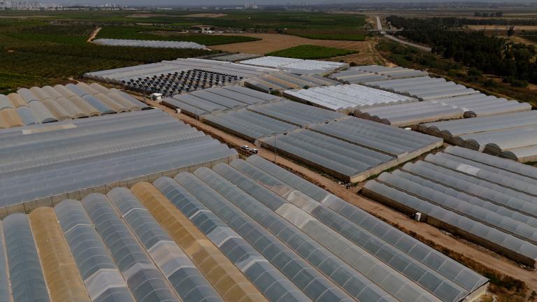 מבט אווירי על שורות חממות פלסטיק לבנות בשטח חקלאי ירוק