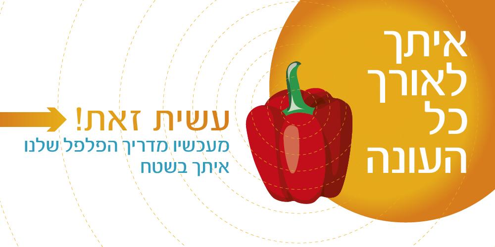 נרשמת בהצלחה למדריך הפלפל הדיגיטלי